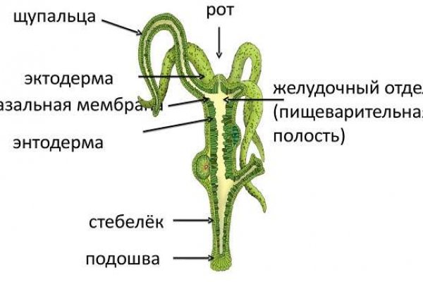 Omg ссылка рабочая